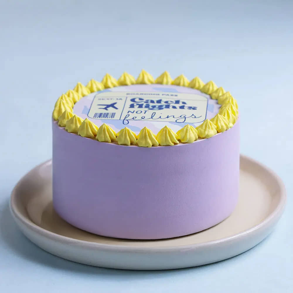 Front View of Catch Flights Bento Cake