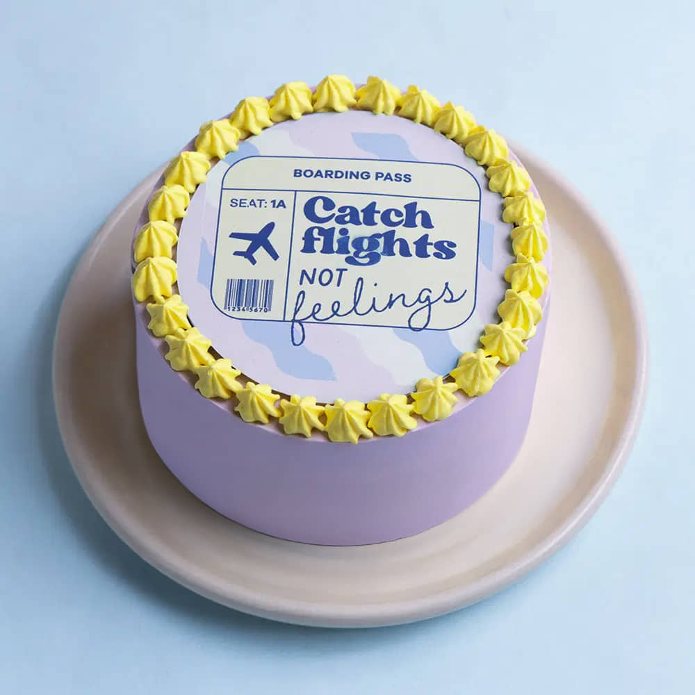Side View of Catch Flights Bento Cake