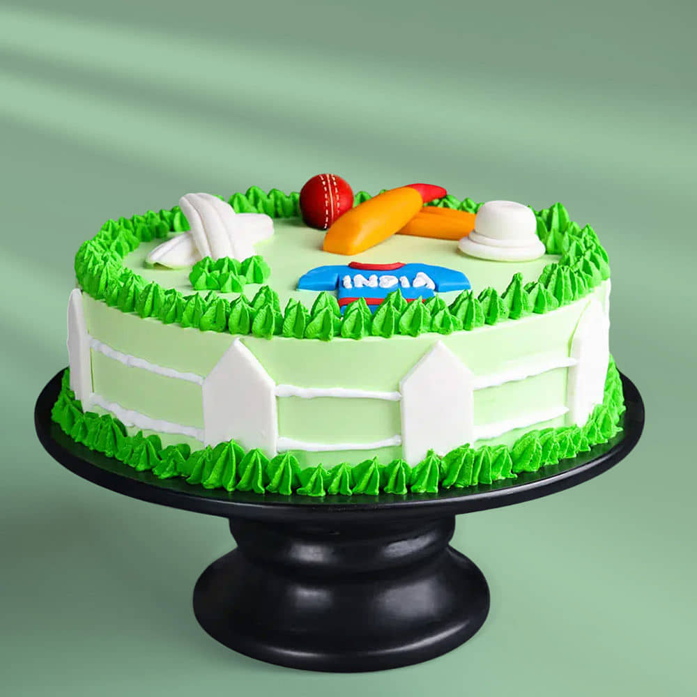 Side View of Cricket Field Cake