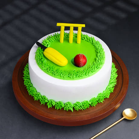 Cricket Kit N Pitch Cake