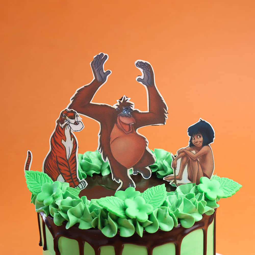 Top View of Jungle Book Fun Cake