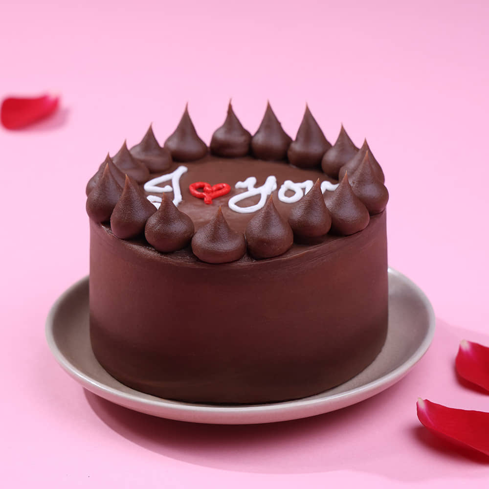 Front View of Love Ya Milk Choco Bento Cake