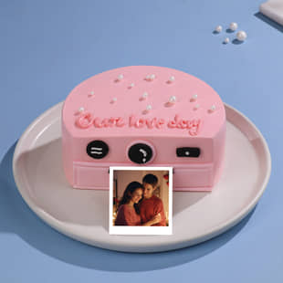 Our Love Day Camera Cakes