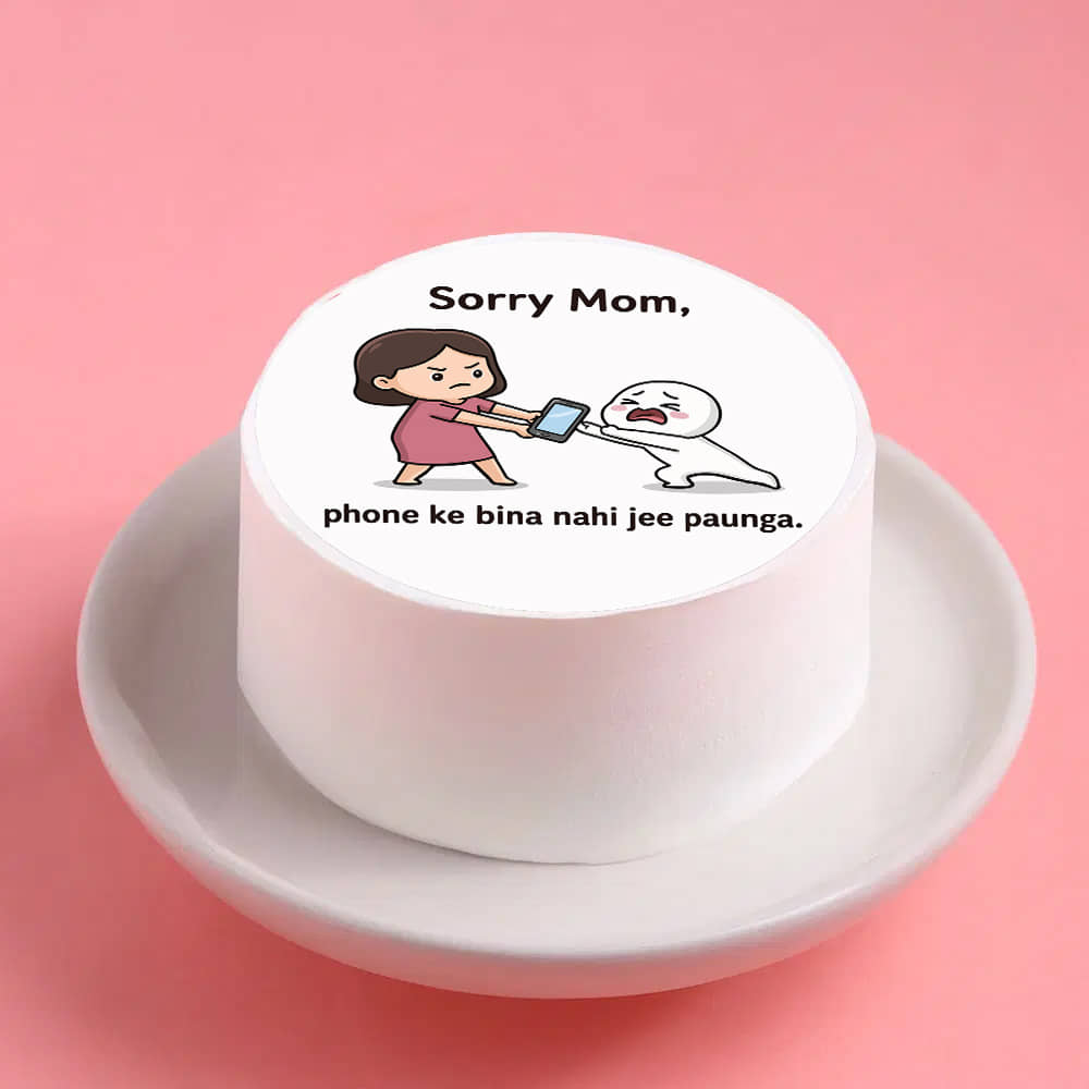 Front View of Sorry Mom Phone is Life Bento Cake