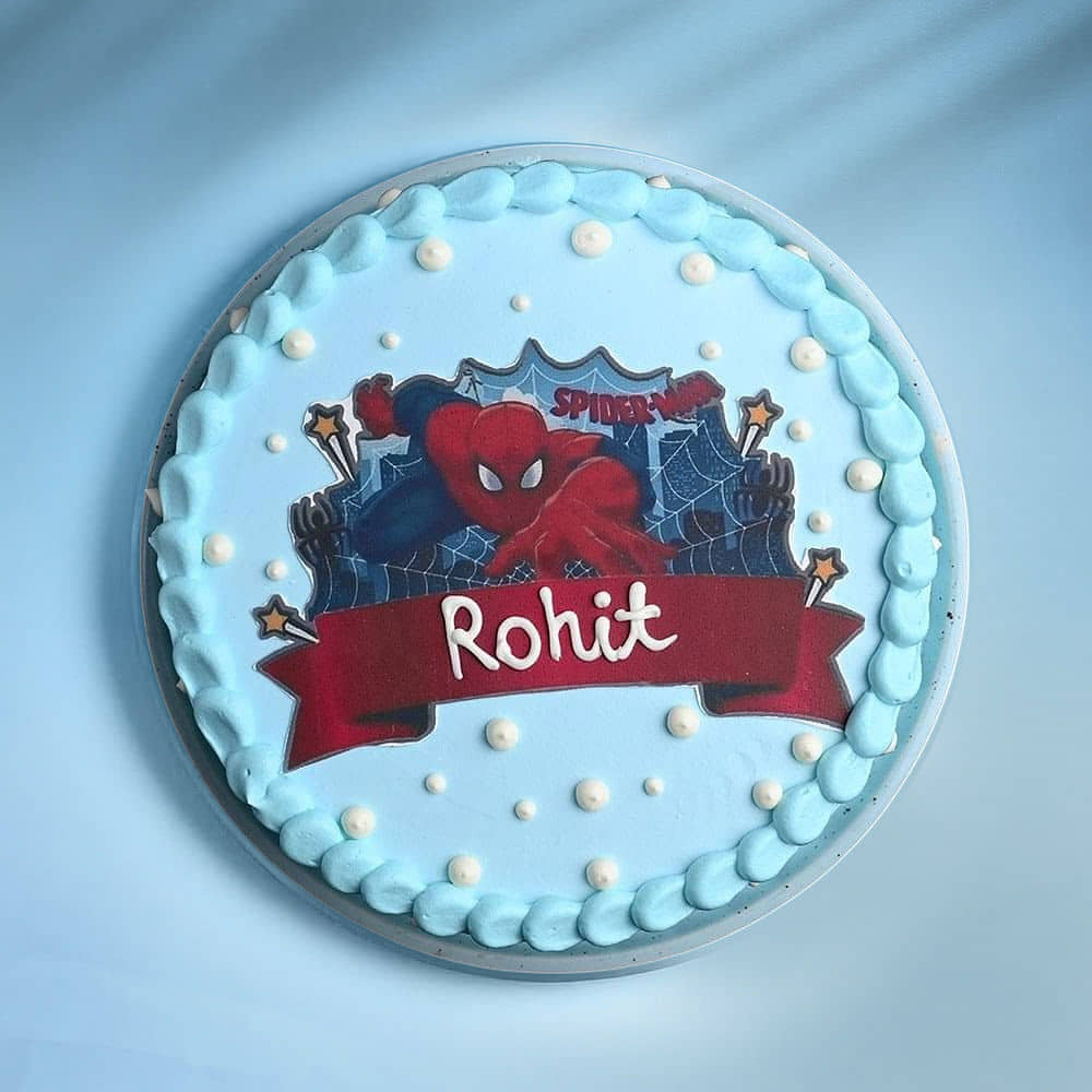 Top View of Spider Adventure Cake
