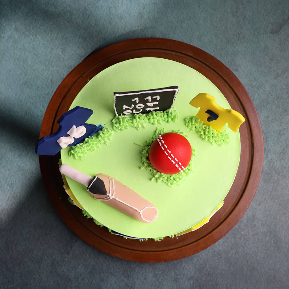 Top View of Cricket Not Out Theme Cake